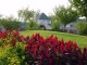 LAWN MAINTENANCE - WEEKLEY OR ONE TIME $25 MOST in Kingwood, Texas